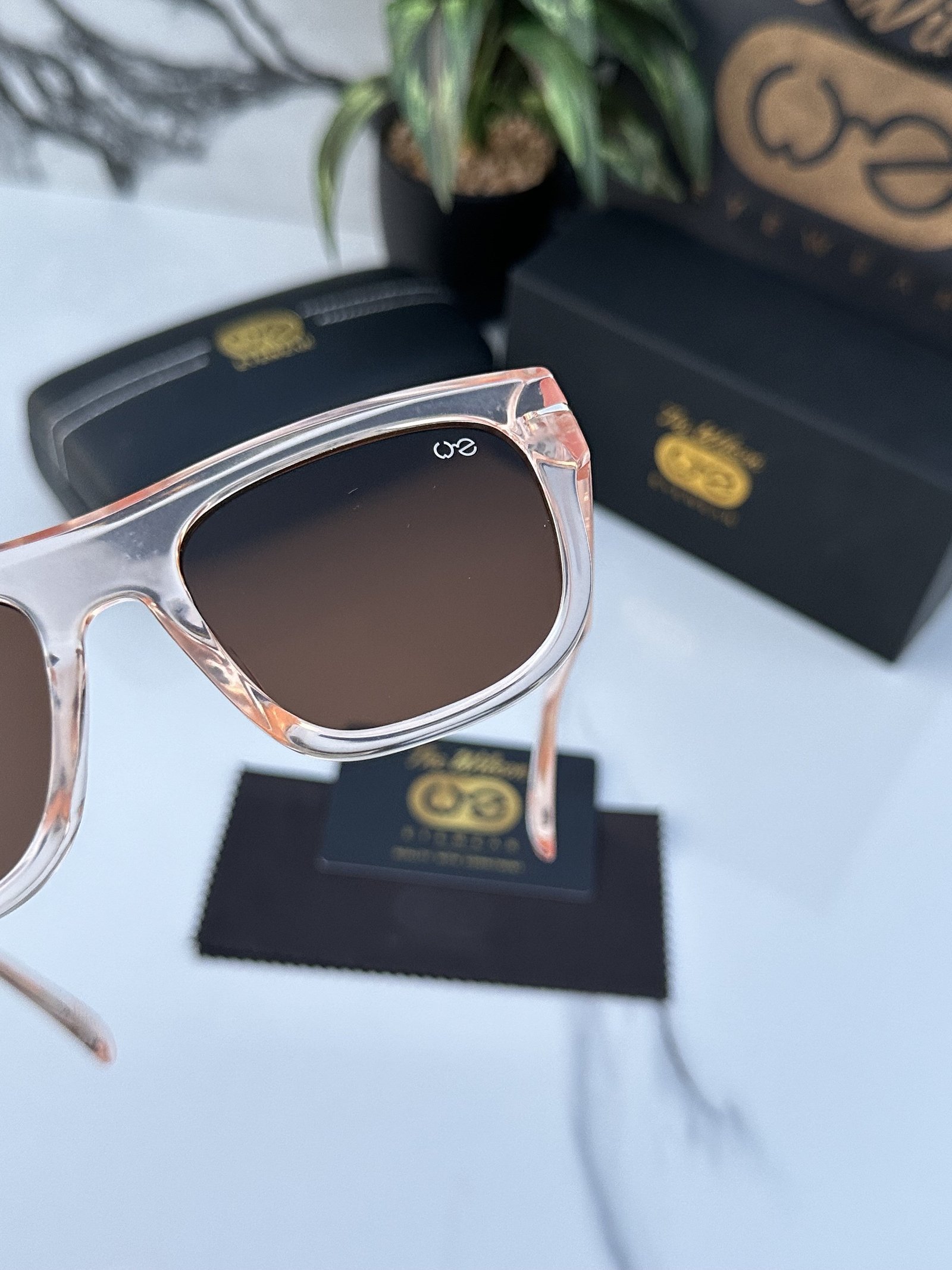 Branded Sunglasses TW 2206 Peach - Image 3